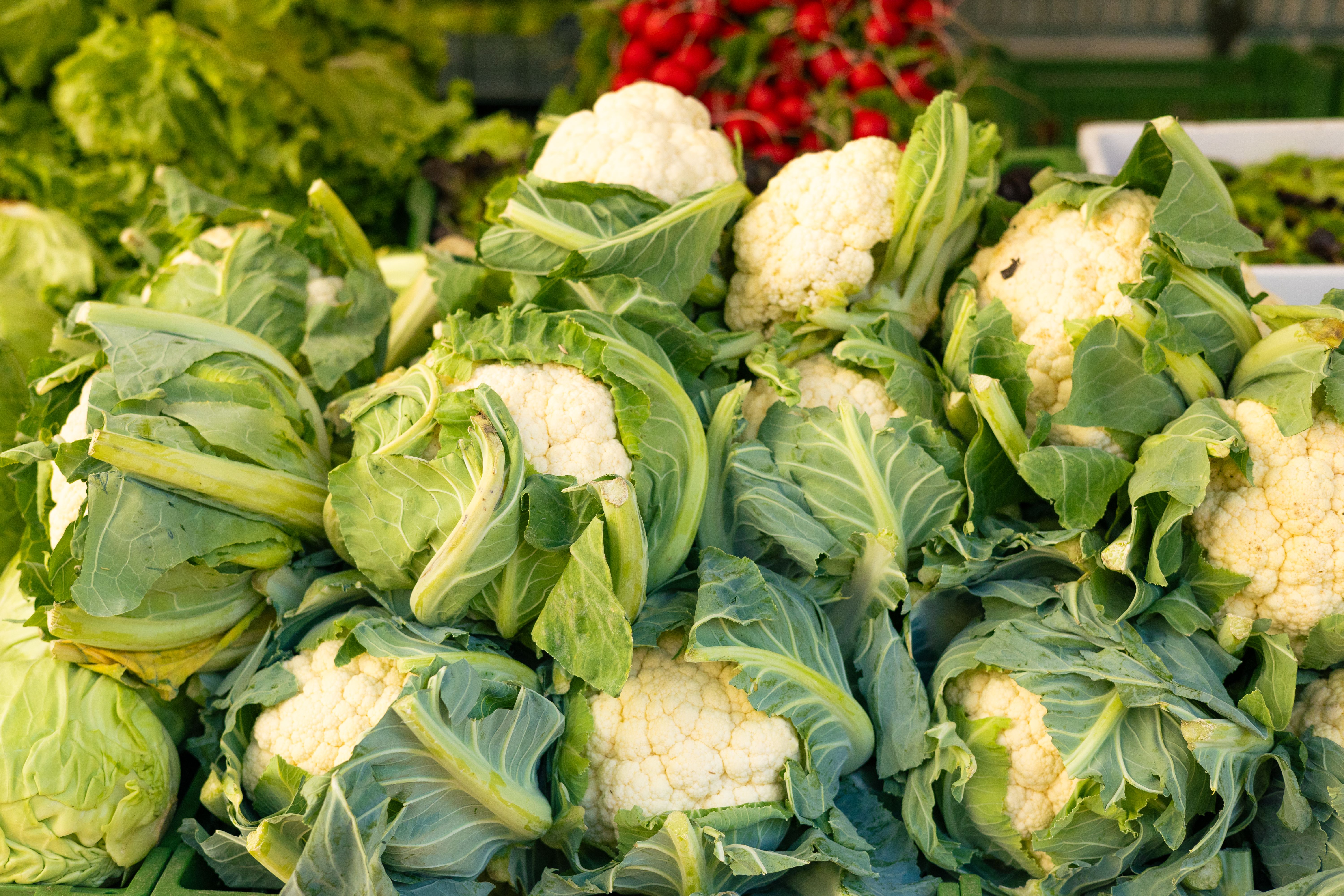 How to Grow Cauliflower in Uganda: A Complete Guide for High Yields