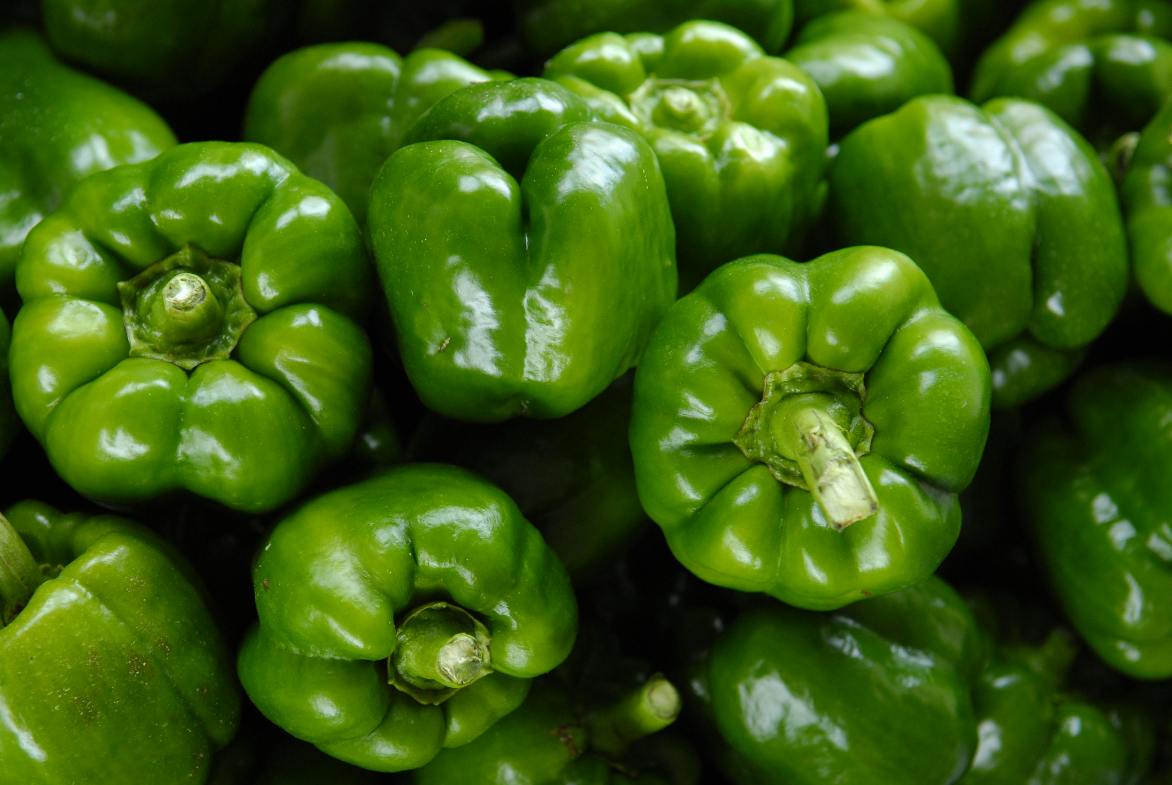 Postharvest Handling of Bell Peppers: Best Practices for Maintaining Quality and Reducing Losses